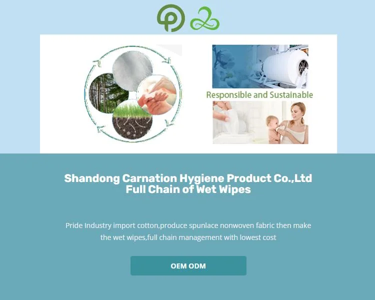 Private Label Free Sample Disposable OEM High-Quality Dry Nonwoven Baby Wet Wipes