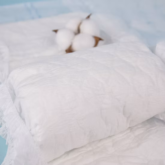 Factory Price China L Customization Insert Pad Japanese Printed Diapers Adult Diaper