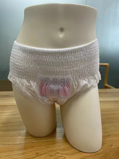 OEM China Factory Wholesale Bulk Cheap Price Cotton Soft Lady Disposable Menstrual Period Pants Heavy Flow Overnight Women Safety Sleepy Sanitary Napkin Panties 