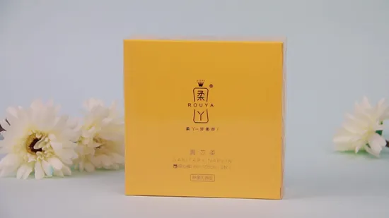 Large Capacity All Day Menstrual Pants Feminine Hygiene Sanitary Napkin 